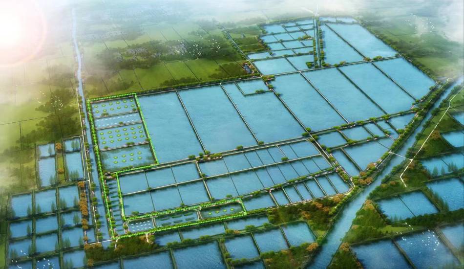 淮安市鄉村振興先導區漁業產業發展規劃